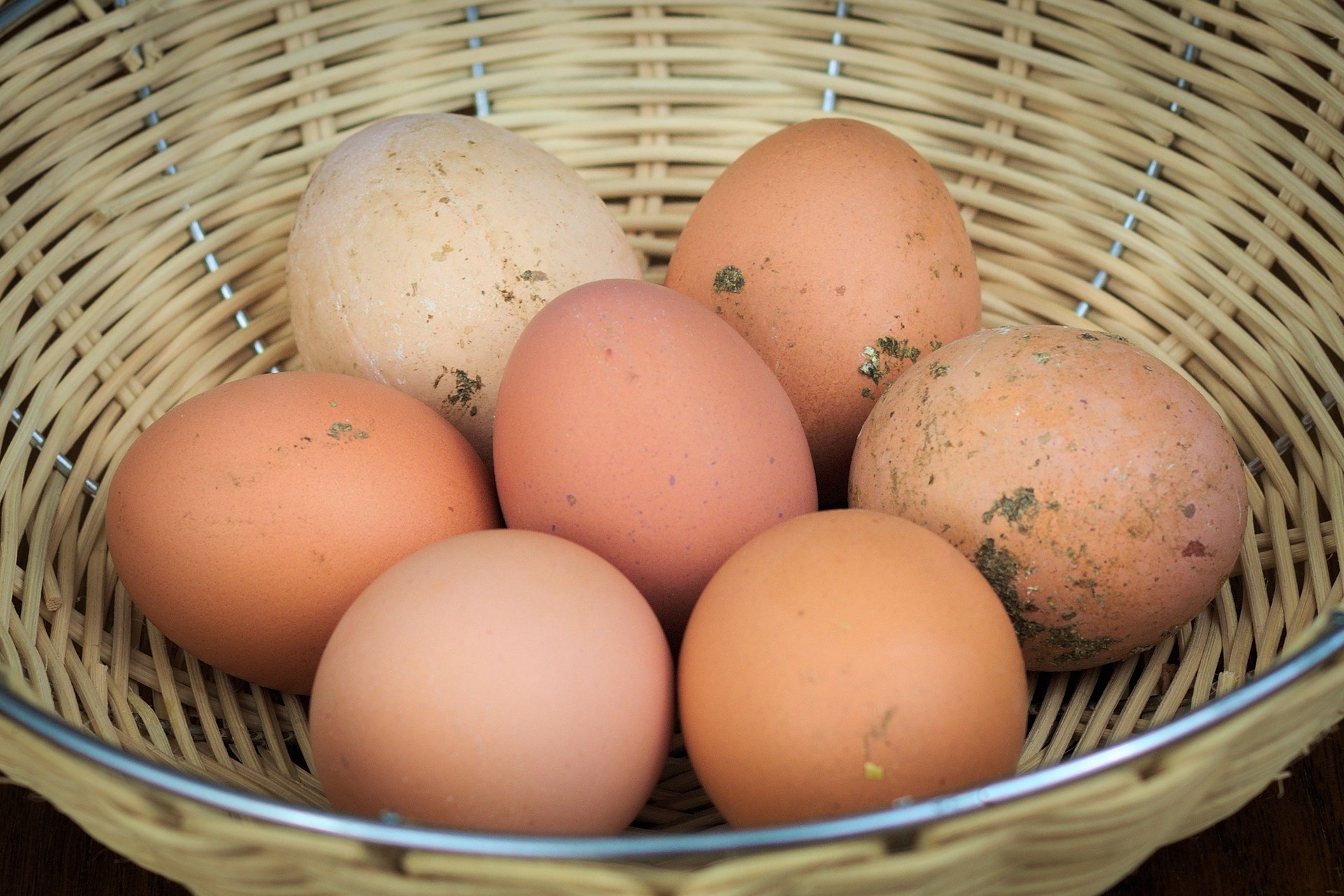 Farm Fresh Eggs organic in the basket